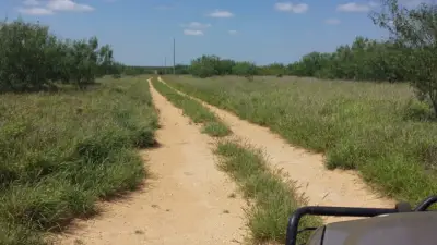 Rancho en venta en Guerrero - foto 5