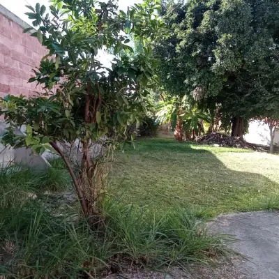 Terreno en venta en Xochitepec - foto 3