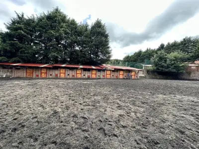 Rancho en venta en Tlalpan - foto 5