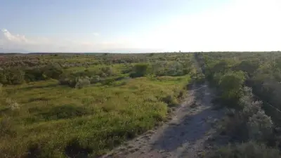 Rancho en venta en Vallecillo - foto 3