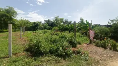 Terreno en venta en Santa María Colotepec - foto 4