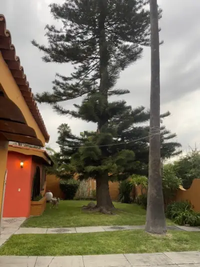 Casa en venta en Jocotepec - foto 5