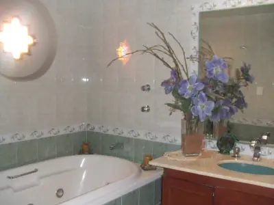 Casa en venta en Álvaro Obregón - foto 3