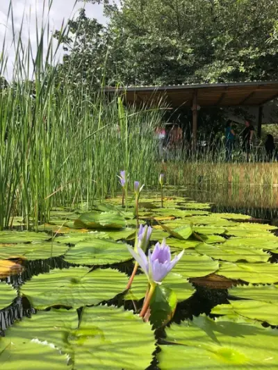 Casa en venta en Tepoztlán - foto 2