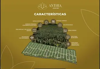 Terreno en venta en Hunucmá - foto 2