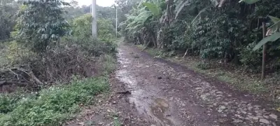 Terreno en venta en Coatepec - foto 2