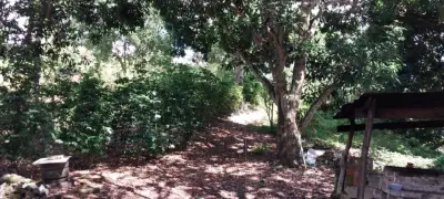 Rancho en venta en Emiliano Zapata - foto 2