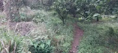 Terreno en venta en Coatepec - foto 5