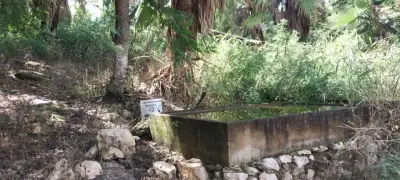 Rancho en venta en Emiliano Zapata - foto 4