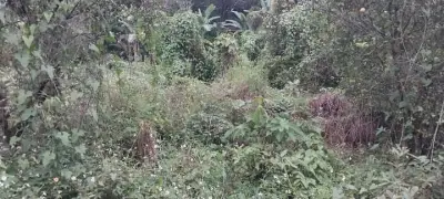 Terreno en venta en Coatepec - foto 4