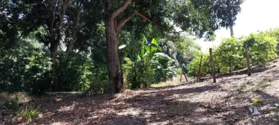 Rancho en venta en Emiliano Zapata - foto 3