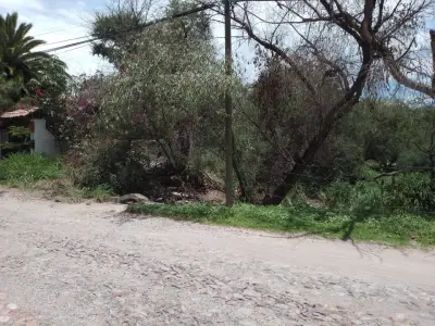 Terreno en venta en San Miguel de Allende - foto 4