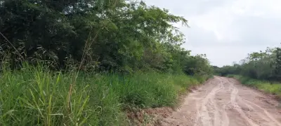 Terreno en venta en Emiliano Zapata - foto 3