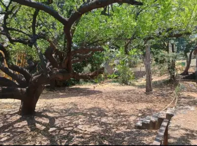 TERRENO WN VENTA EN CUERNAVACA SAN JERÓNIMO 1330M