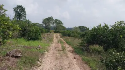 Terreno en venta en Emiliano Zapata - foto 4