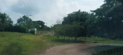 REMATO PROPIEDAD