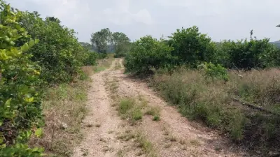 Terreno en venta en Emiliano Zapata - foto 5