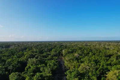 Terreno en venta en Umán - foto 2