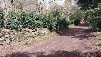 Terreno en venta en Naolinco - foto 4