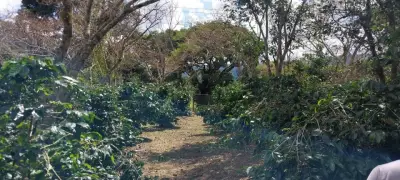 Terreno en venta en Naolinco - foto 3