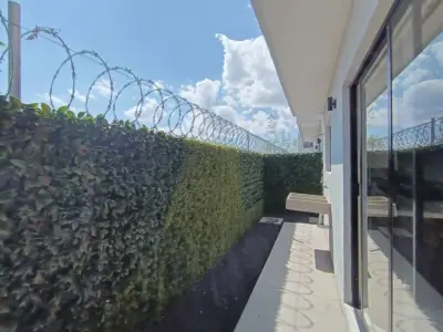 Casa en venta en Pachuca - foto 4