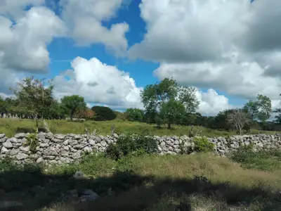 Terreno en venta en Motul - foto 3