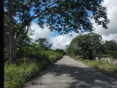 Terreno en venta en Motul - foto 2