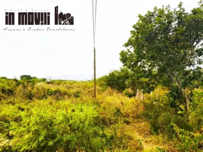 Terreno en venta en Salina Cruz - foto 4