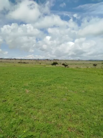 Terreno en venta en Amealco de Bonfil - foto 5