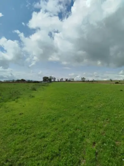 Terreno en venta en Amealco de Bonfil - foto 2