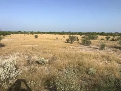 Rancho en venta en Vallecillo - foto 3