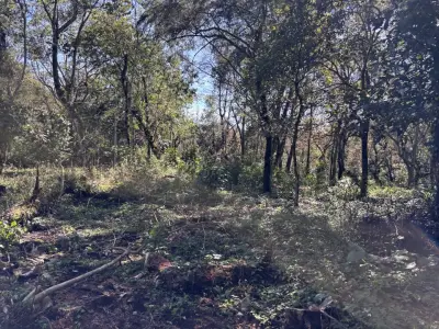 Terreno en venta en Tlalnelhuayocan - foto 2
