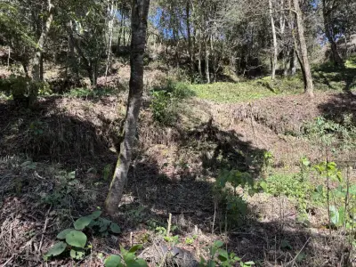Terreno en venta en Tlalnelhuayocan - foto 4