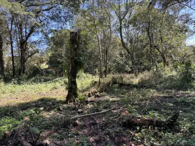 Terreno en venta en Tlalnelhuayocan - foto 5