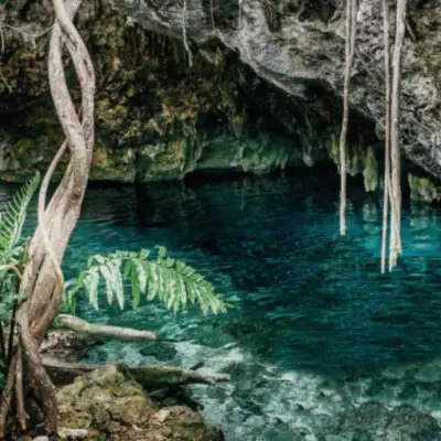 Terreno en venta en Tulum - foto 5