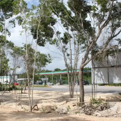 Terreno en venta en Tulum - foto 4