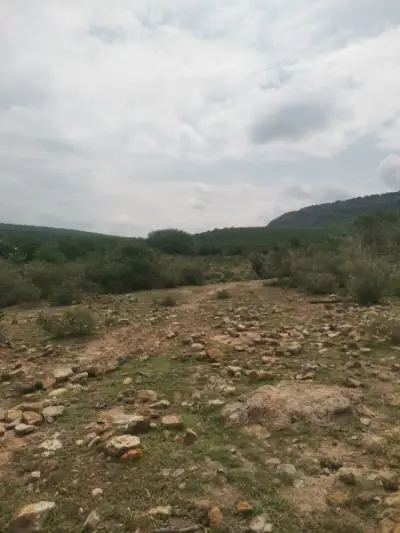 Terreno en venta en Tequisquiapan - foto 2