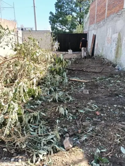 Terreno en venta en Toluca - foto 5