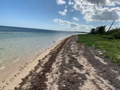 Terreno en venta mahahual Quintana Roo