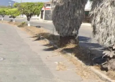 Casa en venta en Tepic - foto 3