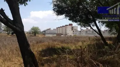 Terreno en venta en Morelia - foto 4