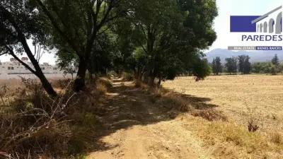 Terreno en venta en Morelia - foto 5