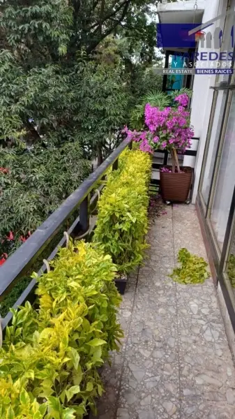 Departamento en venta en Benito Juárez - foto 3