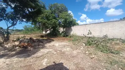 Terreno en venta en Campeche - foto 4