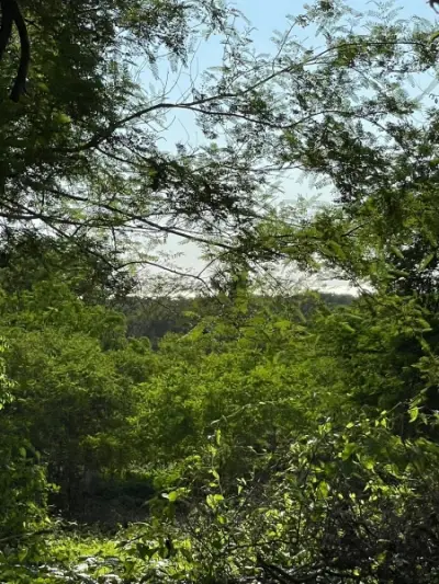 Terreno en venta en Bahía de Banderas - foto 3