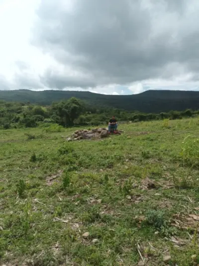 Terreno en venta en Tlajomulco de Zúñiga - foto 3