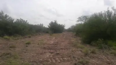 Terreno en venta en General Terán - foto 3