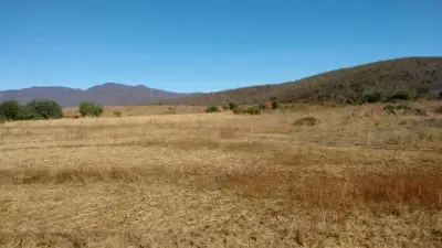 Rancho en venta en Sinaloa - foto 2