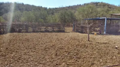 Rancho en venta en Sinaloa - foto 3