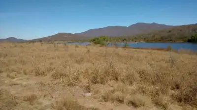 Rancho en venta en Sinaloa - foto 4